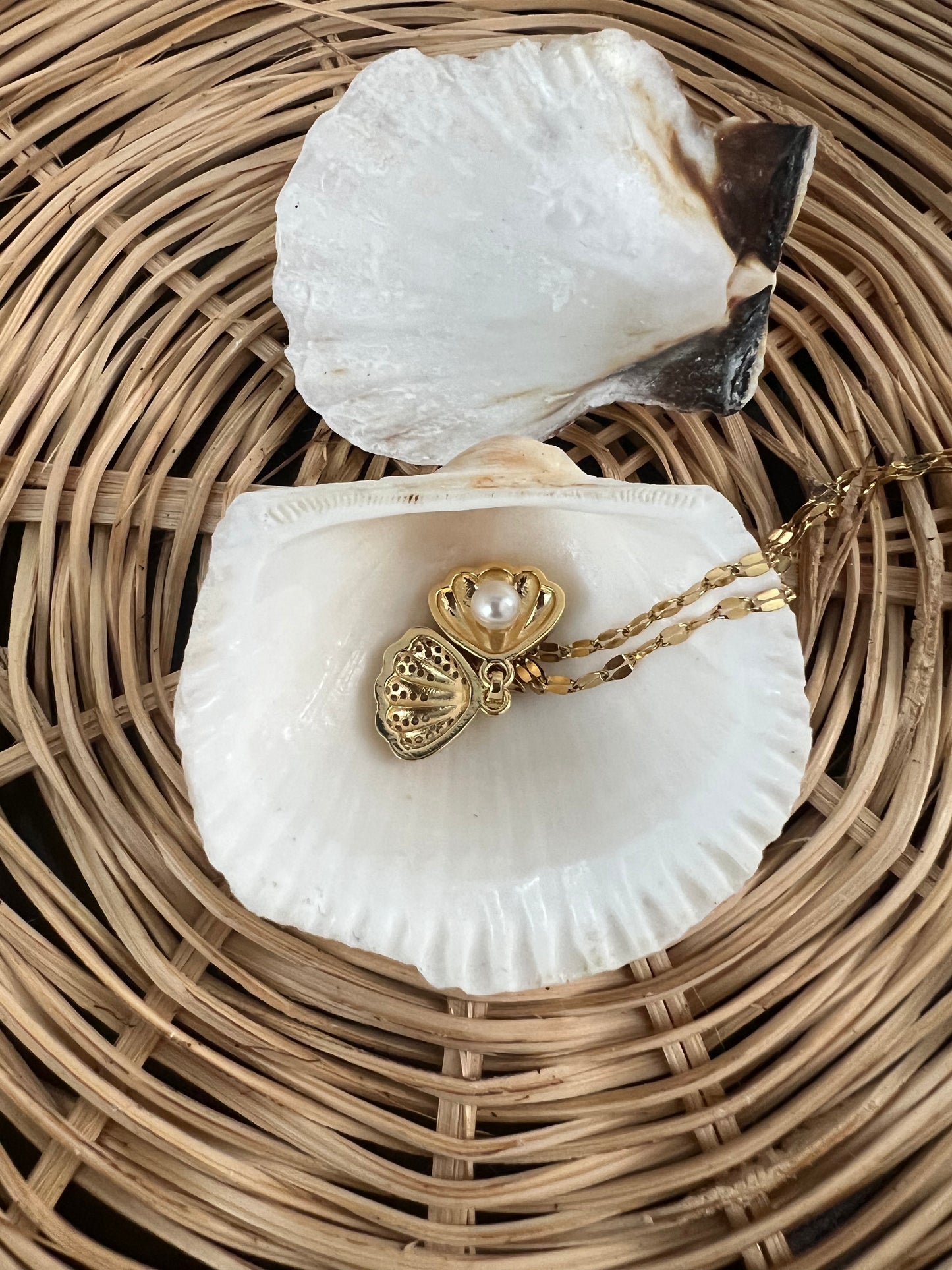 Seashell necklace with pearl inside