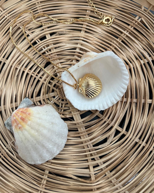 Seashell chain 18k gold plated